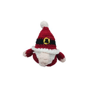 Santa Gnome