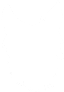 Logo-for-Jays-Joyful-Creations-white