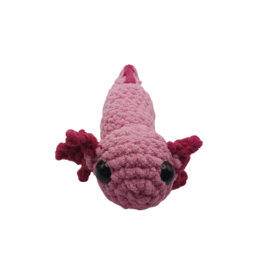 Axolotl
